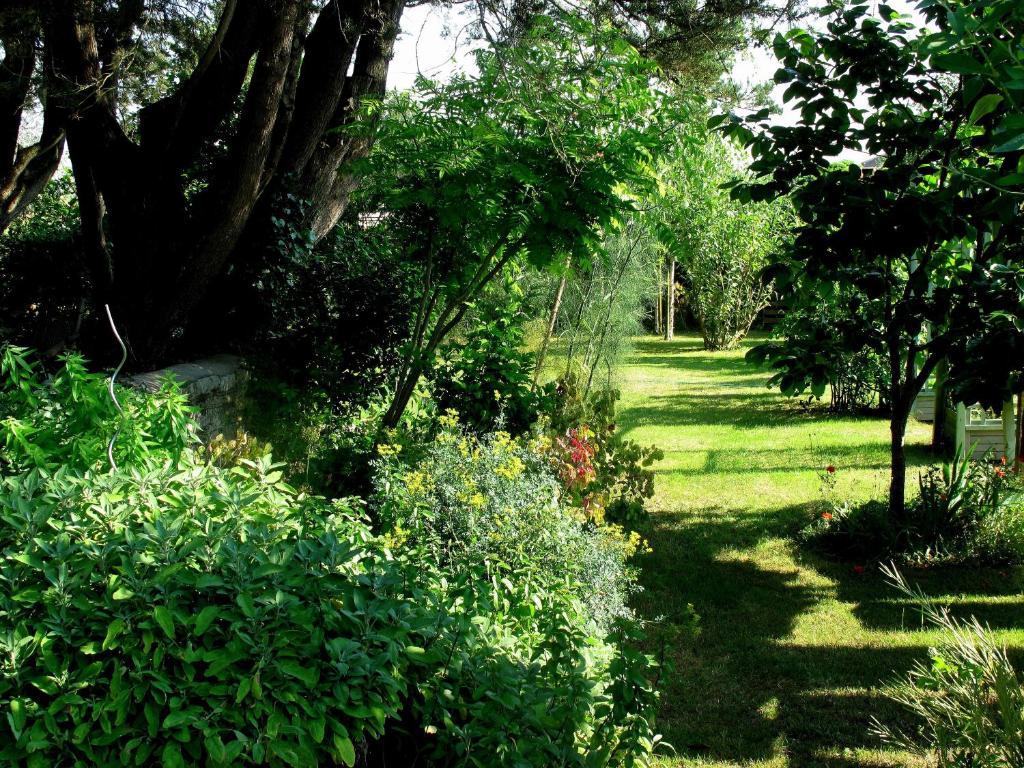 La Claverie Sainte-Radégonde-des-Noyers Exterior photo