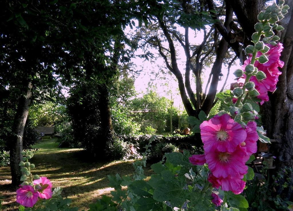 La Claverie Sainte-Radégonde-des-Noyers Exterior photo
